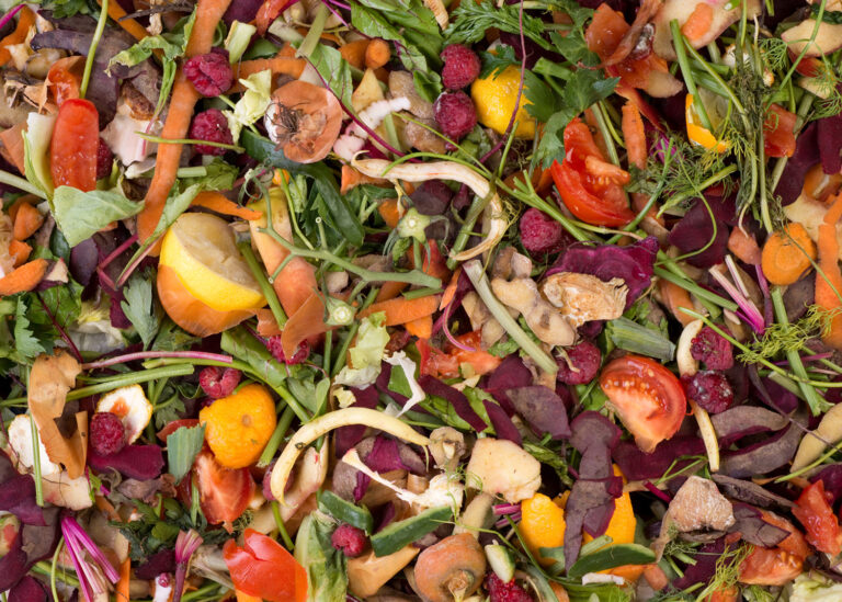 Pile of composting organic waste